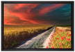 Getreidefeld mit Mohnblüten auf Leinwandbild gerahmt Größe 60x40