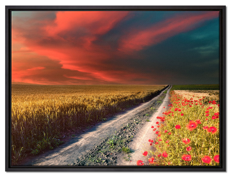 Getreidefeld mit Mohnblüten auf Leinwandbild gerahmt Größe 80x60