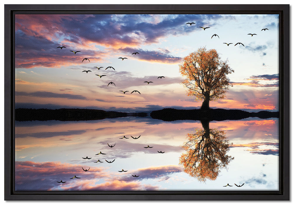 Baum spiegelt sich im Wasser auf Leinwandbild gerahmt Größe 60x40