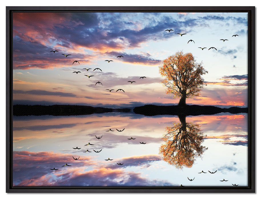 Baum spiegelt sich im Wasser auf Leinwandbild gerahmt Größe 80x60