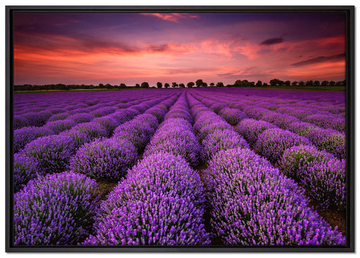 Wunderschöne Lavendel Provence auf Leinwandbild gerahmt Größe 100x70