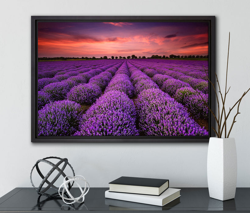 Wunderschöne Lavendel Provence auf Leinwandbild gerahmt mit Kirschblüten