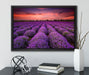 Wunderschöne Lavendel Provence auf Leinwandbild gerahmt mit Kirschblüten
