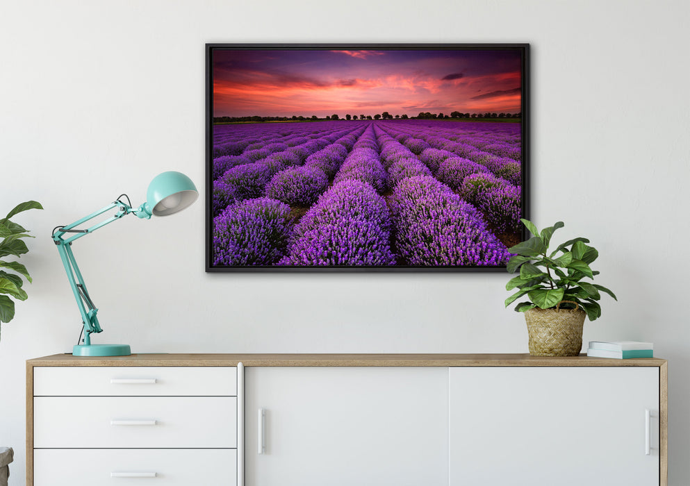 Wunderschöne Lavendel Provence auf Leinwandbild gerahmt verschiedene Größen im Wohnzimmer