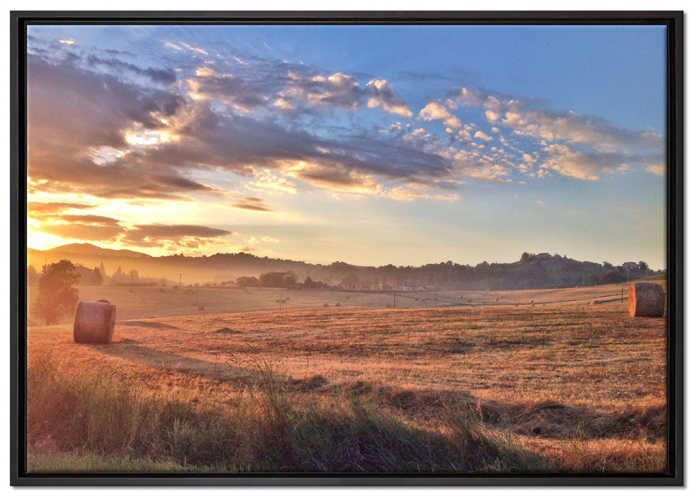 Getreidefeld im Abendlicht auf Leinwandbild gerahmt Größe 100x70