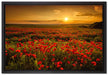 Mohnblütenfeld bei Sonnenuntergang auf Leinwandbild gerahmt Größe 60x40