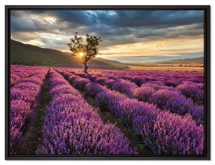 Lavendel Provence mit Baum auf Leinwandbild gerahmt Größe 80x60
