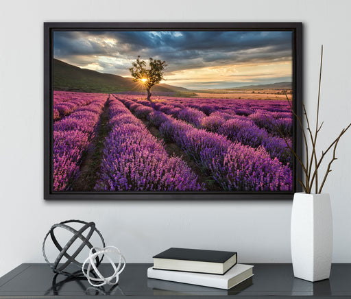 Lavendel Provence mit Baum auf Leinwandbild gerahmt mit Kirschblüten