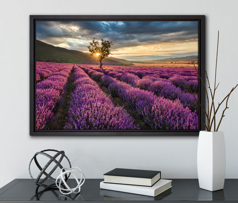 Lavendel Provence mit Baum, Leinwandbild mit Bilderrahmen— | Leinwandbilder