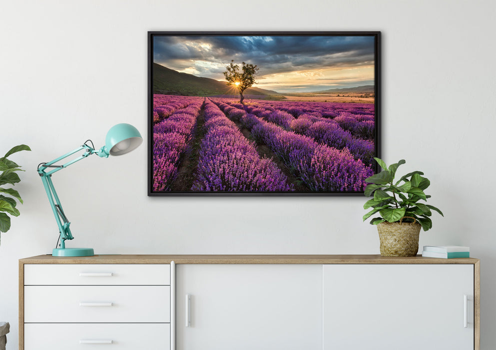Lavendel Provence mit Baum auf Leinwandbild gerahmt verschiedene Größen im Wohnzimmer