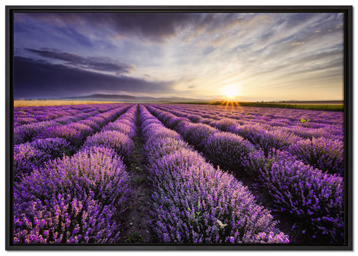 Traumhafte Lavendel Provence auf Leinwandbild gerahmt Größe 100x70