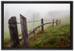 Holzzaun auf Wiese auf Leinwandbild gerahmt Größe 60x40