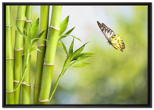 Bambus mit Schmetterling auf Leinwandbild gerahmt Größe 100x70