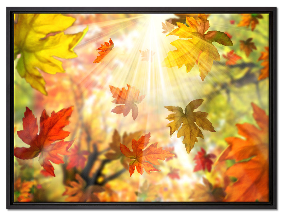 Fliegende bunte Herbstblätter auf Leinwandbild gerahmt Größe 80x60