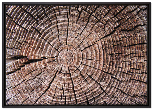 Baumstamm Jahresringe auf Leinwandbild gerahmt Größe 100x70