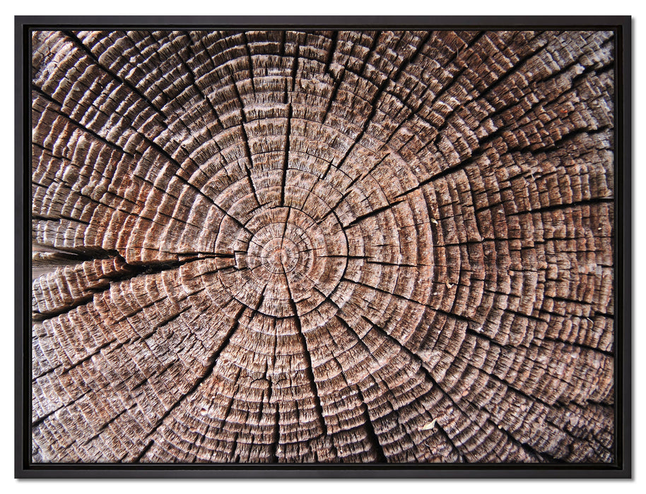 Baumstamm Jahresringe auf Leinwandbild gerahmt Größe 80x60