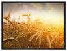 Getreide im Sonnenlicht auf Leinwandbild gerahmt Größe 80x60