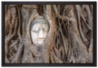 Buddha Kopf im Baum auf Leinwandbild gerahmt Größe 60x40