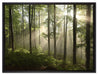 Sonnenstrahlen im Wald auf Leinwandbild gerahmt Größe 80x60