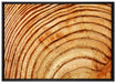 Baumstamm Holzringe auf Leinwandbild gerahmt Größe 100x70