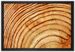 Baumstamm Holzringe auf Leinwandbild gerahmt Größe 60x40