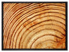 Baumstamm Holzringe auf Leinwandbild gerahmt Größe 80x60