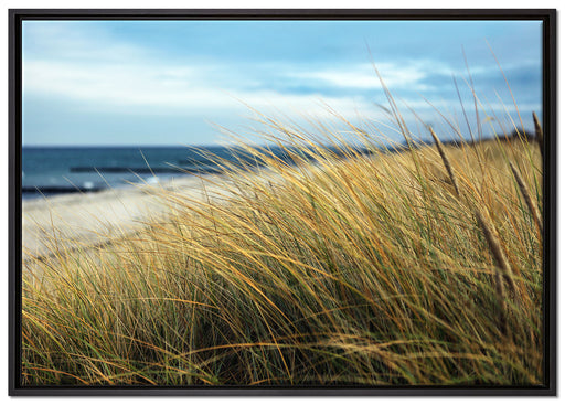 Schilf Gras am Ufer auf Leinwandbild gerahmt Größe 100x70