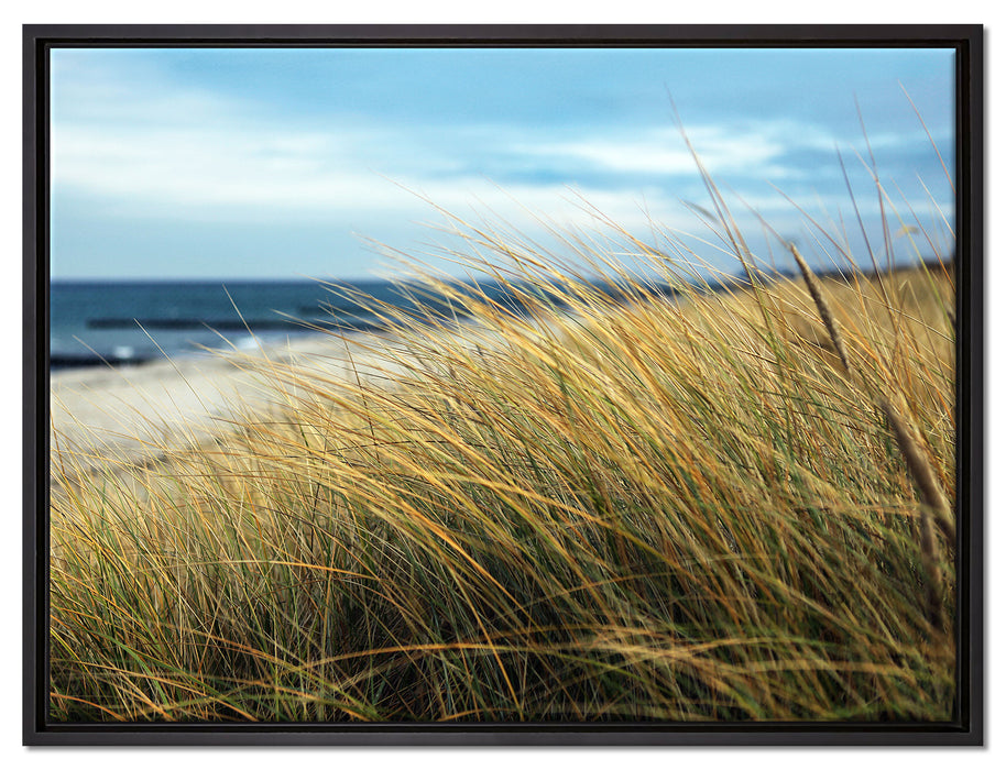 Schilf Gras am Ufer auf Leinwandbild gerahmt Größe 80x60