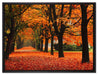 Baumallee im Herbst auf Leinwandbild gerahmt Größe 80x60