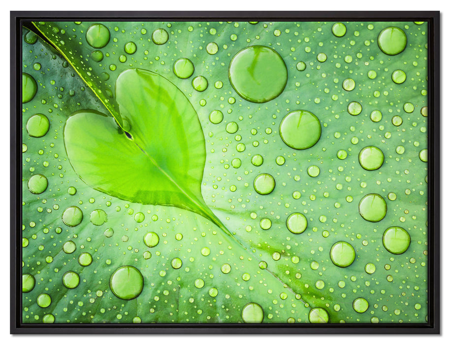 Herz aus Tautropfen Blatt auf Leinwandbild gerahmt Größe 80x60