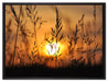 Gras bei Sonnenuntergang auf Leinwandbild gerahmt Größe 80x60