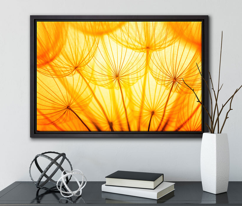 Pusteblumen oranges Licht auf Leinwandbild gerahmt mit Kirschblüten