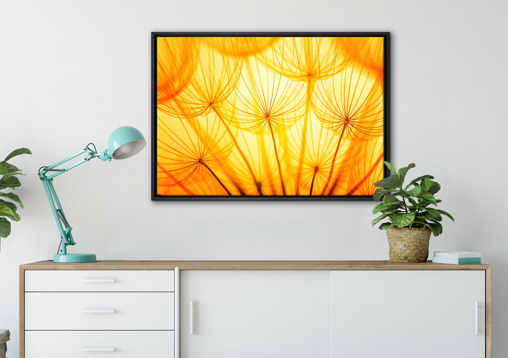 Pusteblumen oranges Licht auf Leinwandbild gerahmt verschiedene Größen im Wohnzimmer