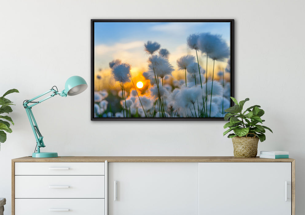 Baumwollblüten im Sonnenuntergang auf Leinwandbild gerahmt verschiedene Größen im Wohnzimmer