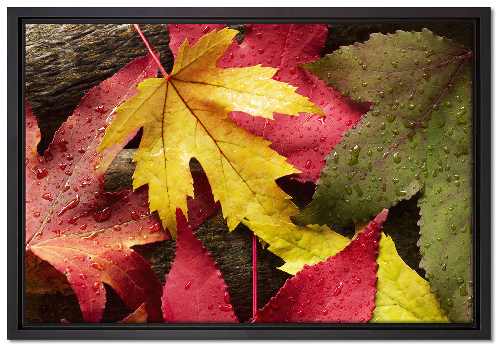 Bunte Herbstblätter auf Leinwandbild gerahmt Größe 60x40