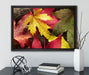 Bunte Herbstblätter auf Leinwandbild gerahmt mit Kirschblüten