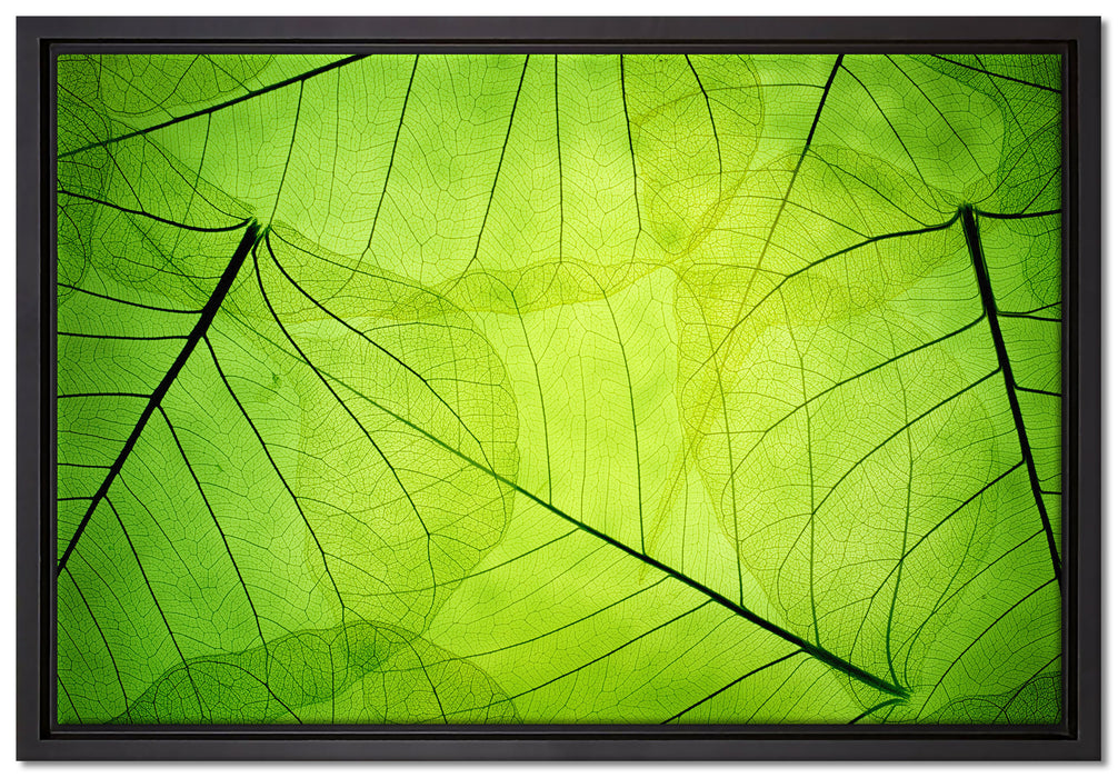 Wunderschöne Zarte grüne Blätter auf Leinwandbild gerahmt Größe 60x40