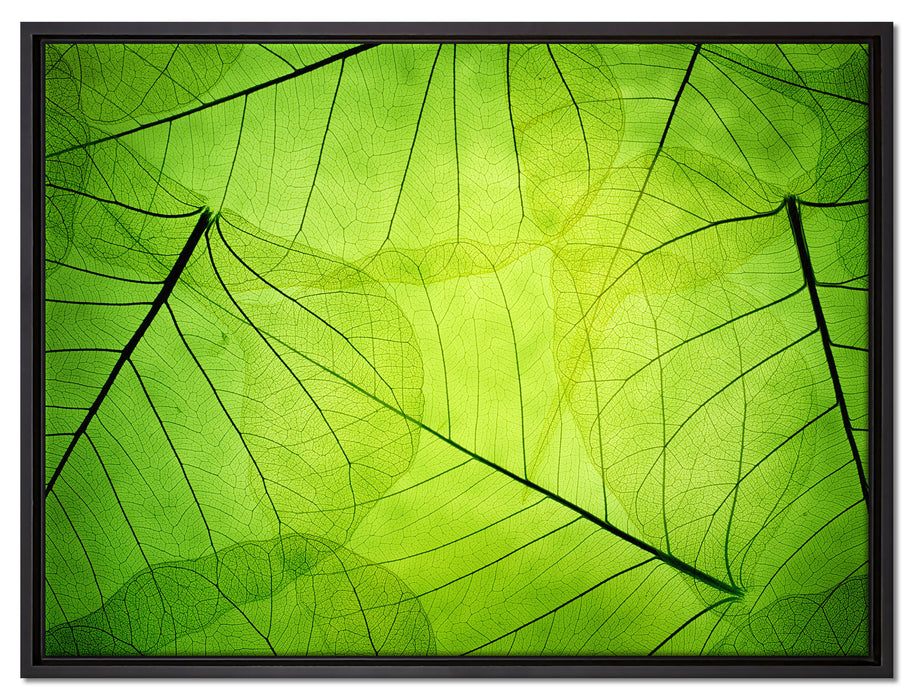 Wunderschöne Zarte grüne Blätter auf Leinwandbild gerahmt Größe 80x60