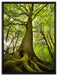 Riesiger Baum im Dschungel auf Leinwandbild gerahmt Größe 80x60