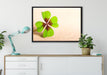 Glücks Kleeblatt mit 4 Blättern auf Leinwandbild gerahmt verschiedene Größen im Wohnzimmer