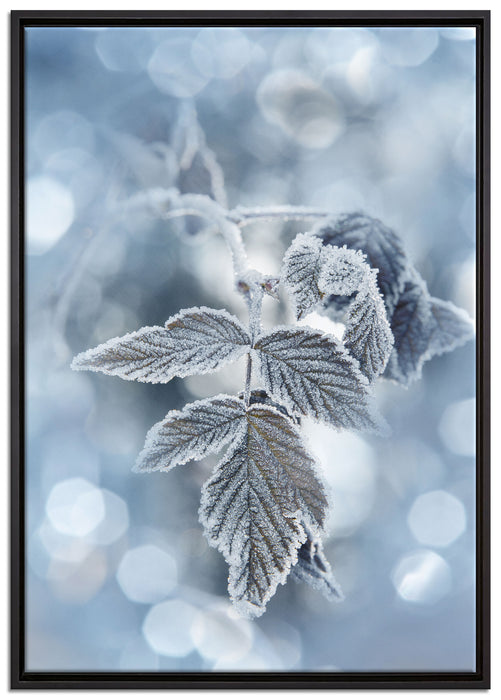Blätter im Winter Morgenfrost auf Leinwandbild gerahmt Größe 100x70