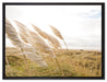 Schönes Schilf in den Dünen auf Leinwandbild gerahmt Größe 80x60