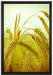 Wunderschönes Getreide auf Leinwandbild gerahmt Größe 60x40