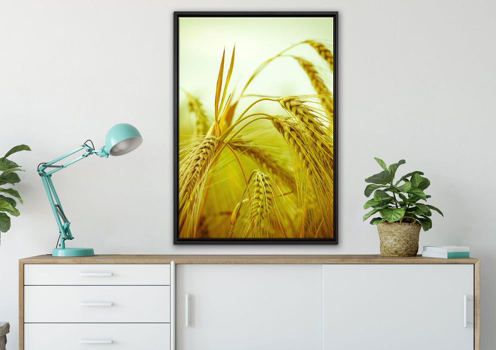 Wunderschönes Getreide auf Leinwandbild gerahmt verschiedene Größen im Wohnzimmer