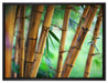 Alter Bambus Wald auf Leinwandbild gerahmt Größe 80x60