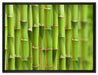 Grüner frischer Bambus auf Leinwandbild gerahmt Größe 80x60