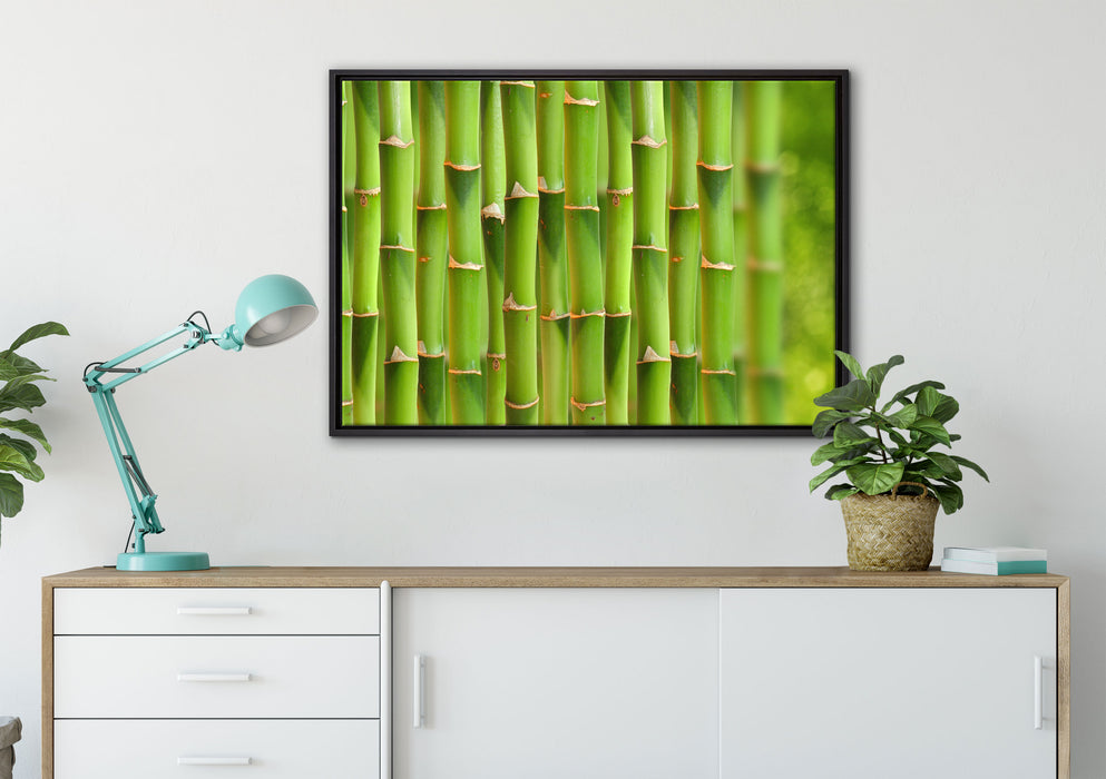 Grüner frischer Bambus auf Leinwandbild gerahmt verschiedene Größen im Wohnzimmer