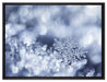 Wunderschöner Eiskristall auf Leinwandbild gerahmt Größe 80x60