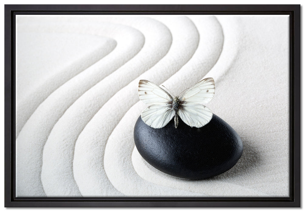 Schmetterling auf Zen Stein auf Leinwandbild gerahmt Größe 60x40