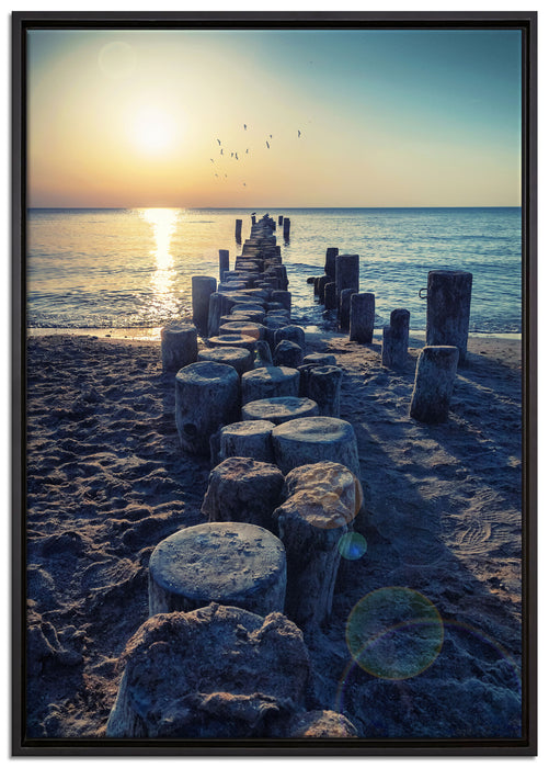 Baumstümpfe am Meer auf Leinwandbild gerahmt Größe 100x70